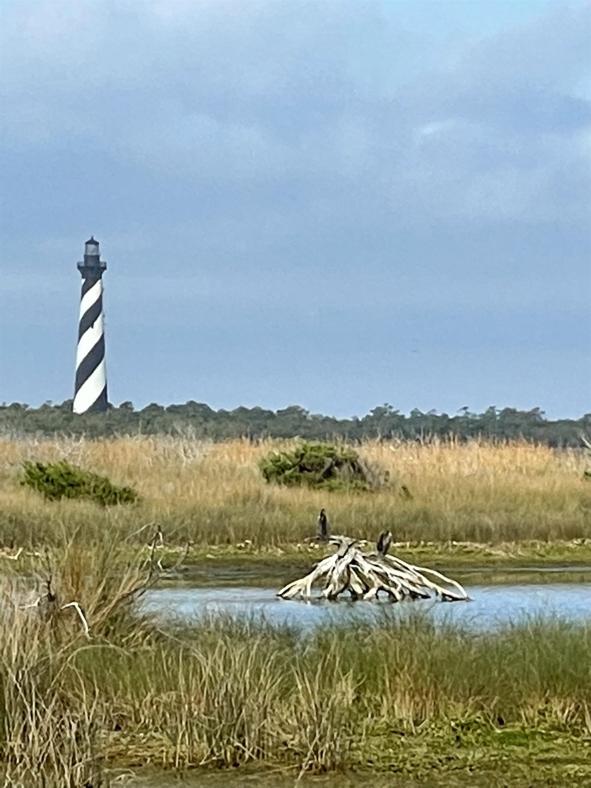 The Cape Hatteras Lighthouse rising over Buxton, near Cape Point